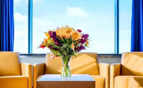 Grand Reykjavík - 57