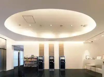 Sotetsu Fresa Inn Shimbashi-Karasumoriguchi - 12