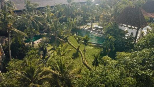 Alaya Resort Ubud - 23