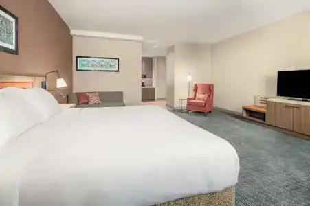 Hilton Garden Inn- Chicago Central Loop - 42