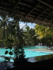 Lagoon Paradise Beach Resort - 24