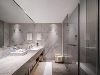Grand Skylight Shenzhen (Huaqiang NorthBusiness Zone) - 39