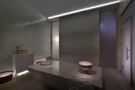The St Regis Downtown, Dubai - 5