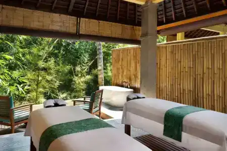 Element by Westin Bali Ubud - 19