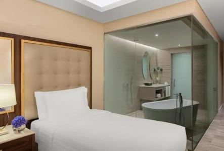 Dusit - 10