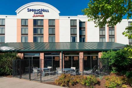 SpringHill Suites by Marriott - 21