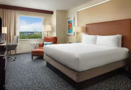 Hilton Orlando - 29
