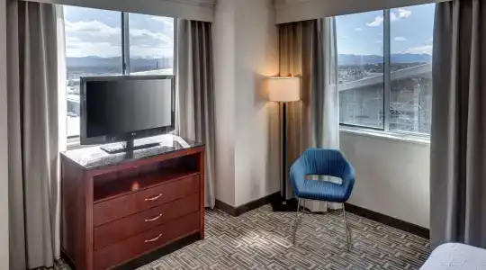 Hilton Garden Inn Denver Downtown - 92