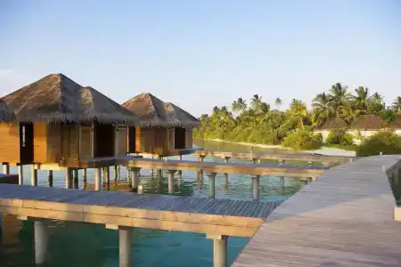 Lux* South Ari Atoll Resort & Villas - 22