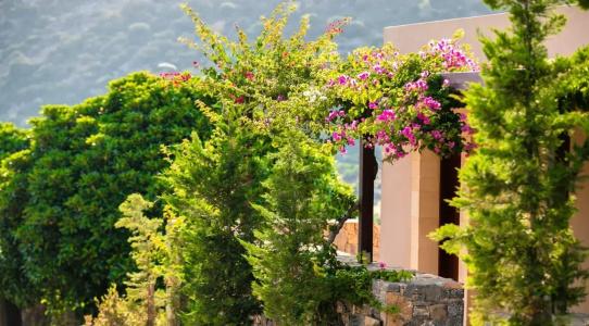 Daios Cove Luxury Resort & Villas - 44