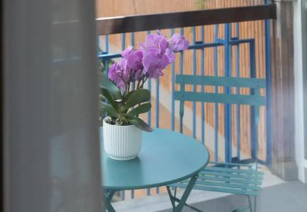 Zaccardi Roof Garden - 34