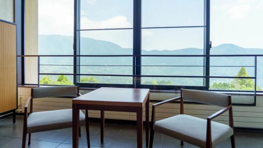 Hyatt Regency Hakone Resort and Spa - 30