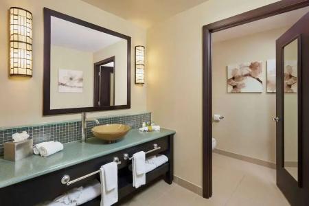 DoubleTree by Hilton Orlando at SeaWorld - 10