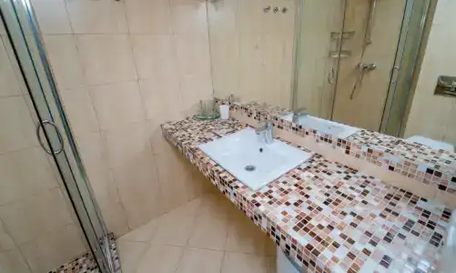 Славутич - 221