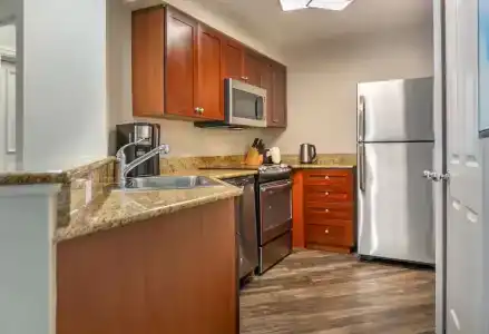 Hilton Grand Vacations Club SeaWorld Orlando - 76