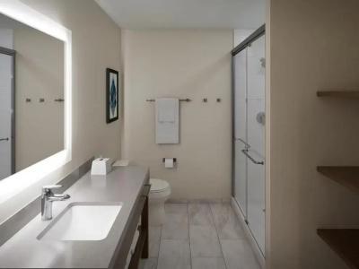 Hawthorn Suites by Wyndham DFW Airport North - 25