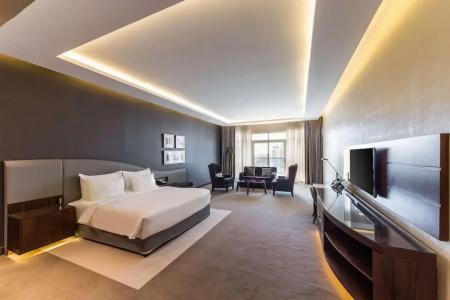 Radisson Blu, Dubai Waterfront - 55