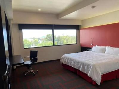Holiday Inn Mexico Dali Airport, An Ihg - 51