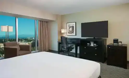 Hilton Anaheim - 54