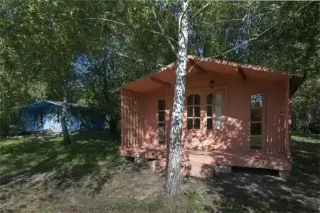Клевер - 213