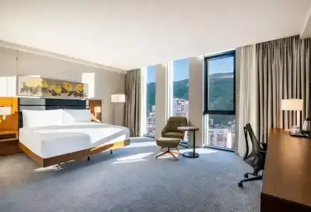 Hilton Garden Inn Tbilisi Chavchavadze - 48