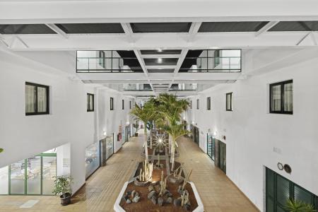 THB Flora - 4