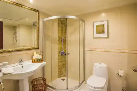 Grand Excelsior - 60