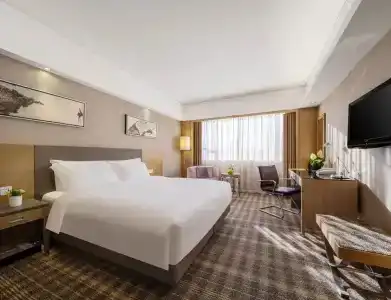 Grand Skylight Shenzhen (Huaqiang NorthBusiness Zone) - 24