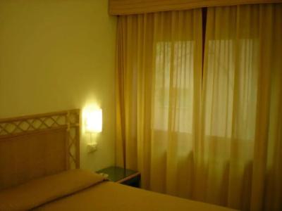 Palme - 28