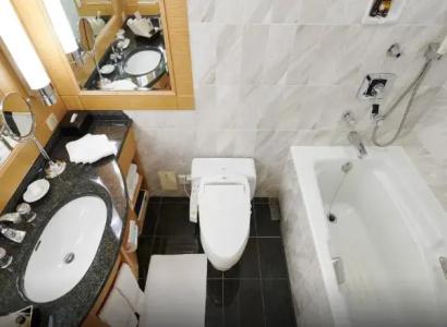 Imperial Osaka - 28