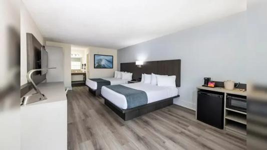 Avanti International Resort - 54