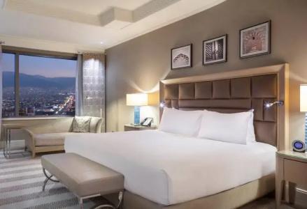 Hilton Bursa Convention Center & Spa - 49