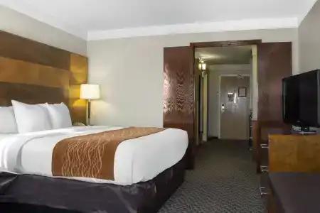 Comfort Inn & Suites - 2