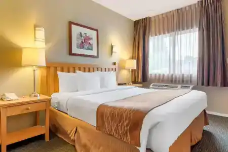 Econo Inn & Suites - - 59