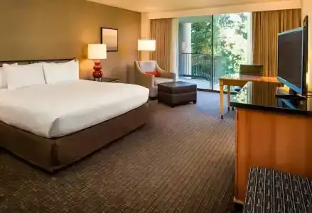 DoubleTree by Hilton Seattle Airport - 30