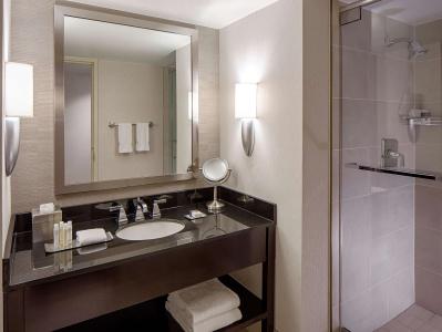 DoubleTree by Hilton Houston Greenway Plaza - 59