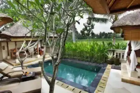 The Ubud Village Resort & Spa - 51