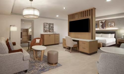 Hilton Anatole - 100