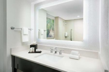 Embassy Suites by Hilton- Lake Buena Vista Resort - 52
