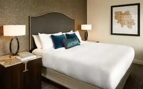 Intercontinental Chicago Magnificent Mile, An Ihg - 57