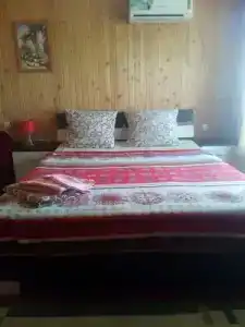 Фазенда Виноград - 2