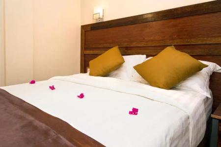 Tropic Tree Maldives - 8