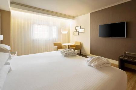 Madrid Marriott Auditorium & Conference Center - 25