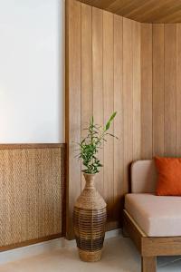 Minos Ambassador Suites & Spa - Adults only - 35