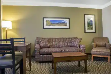 Comfort Inn & Suites - 14