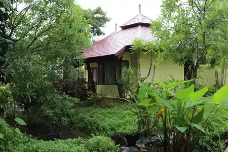 Seaview Resort Khao Lak - Sha Plus - 24