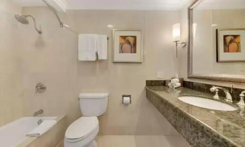 The Beverly Hilton - 91