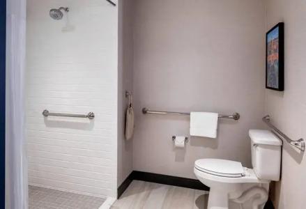 Hilton Garden Inn Austin University Capitol District, Tx - 51