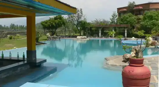 Bar Peepal - 13