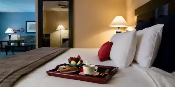 Comfort Inn & Suites San Antonio Airport - 38